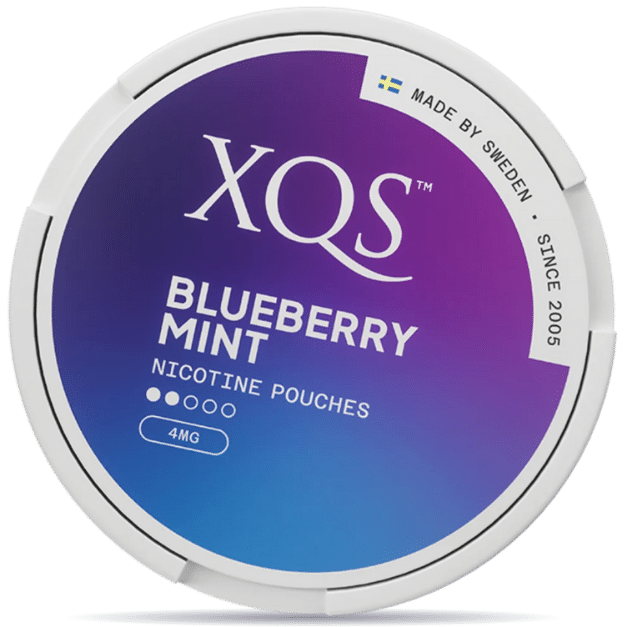 XQS 4mg Blueberry Mint