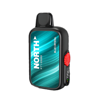 North FT12000 Disposable Vape