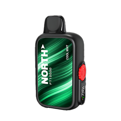 North FT12000 Disposable Vape