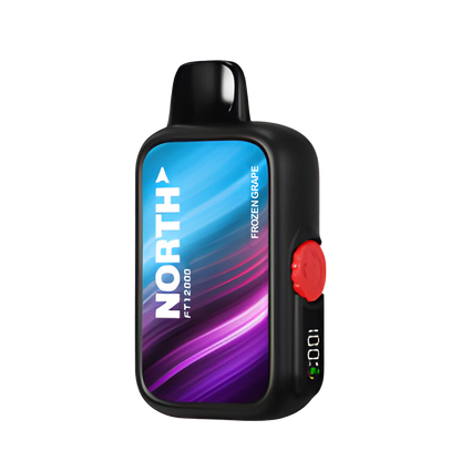 North FT12000 Disposable Vape
