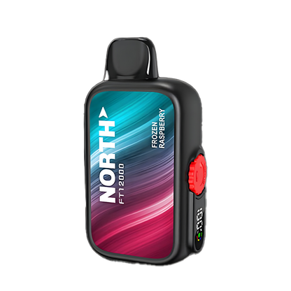 North FT12000 Disposable Vape