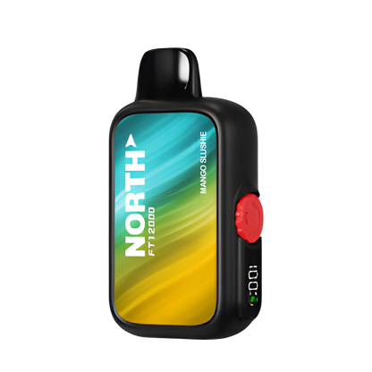 North FT12000 Disposable Vape