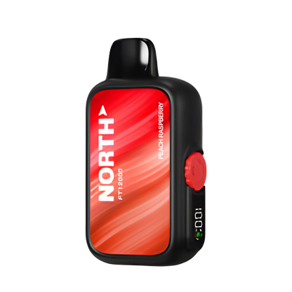 North FT12000 Disposable Vape