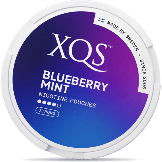 XQS Blueberry Mint 8 mg